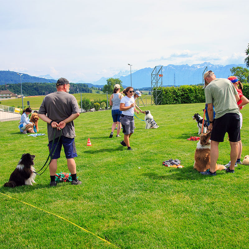 La Fête du Bicentenaire de Forel-Lavaux en images - Samedi 30 mai