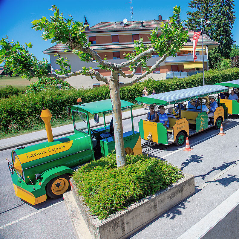 La Fête du Bicentenaire de Forel-Lavaux en images - Vendredi 29 mai