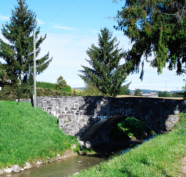 Image Bicentenaire Forel (Lavaux)